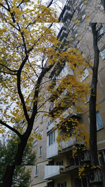 Осень
