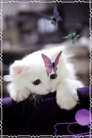 file_64220803