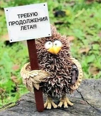 file_103312437