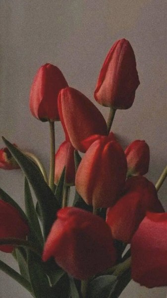 file_96307117