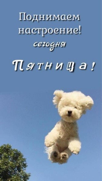 file_95022904