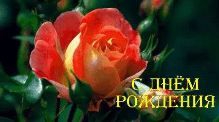 С Днём рожденияЖелто-оранж.роза