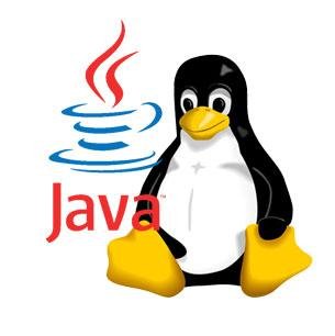 Java Runtime Environment 8.0.11
