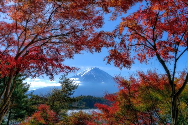 Mount-fuji-lake-kawaguchi-japan-fudziiama-ozero-kavaguti-iap