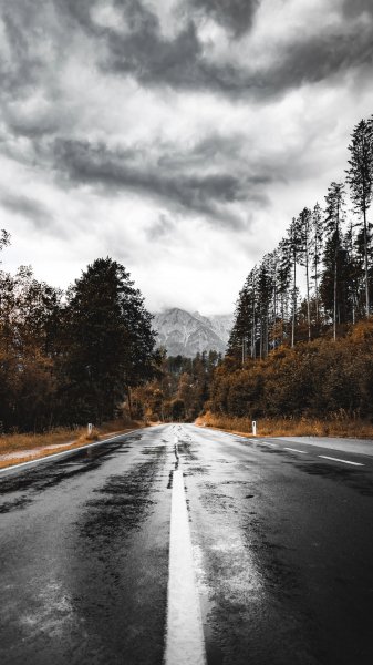 4K-Nature-119
