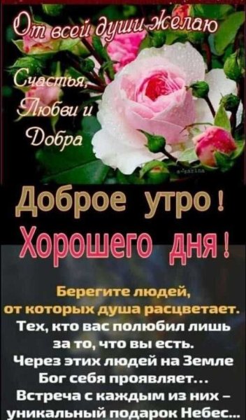 file_91299593
