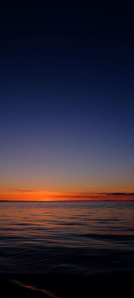 file_96549568