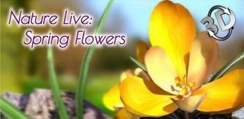 spring-v-lw-1-1
