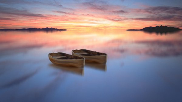 file_96256412
