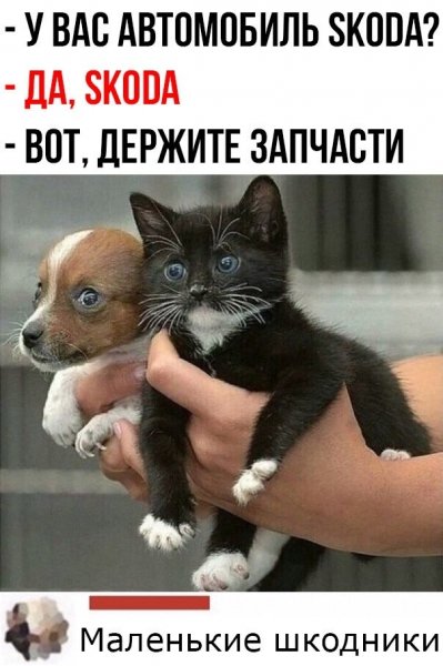 Запчасти)) для шкоды))