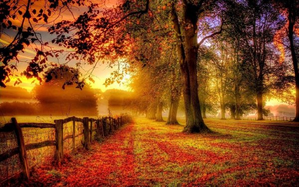 Dave Koz - I Believe