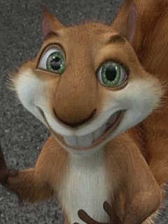 34