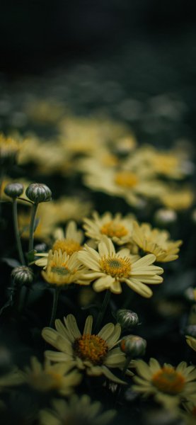 file_92543380