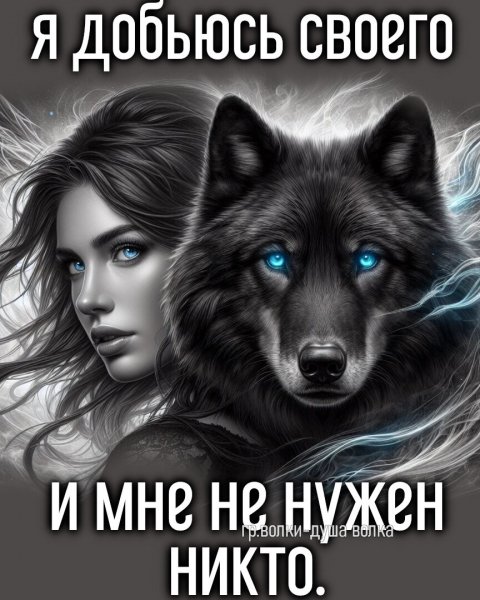 IMG 20250211 110011