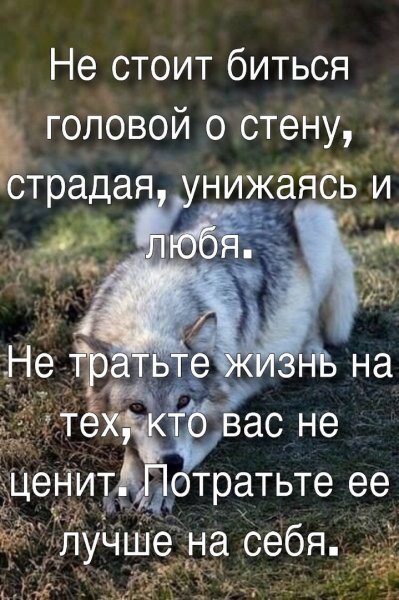 IMG 20191020 222947