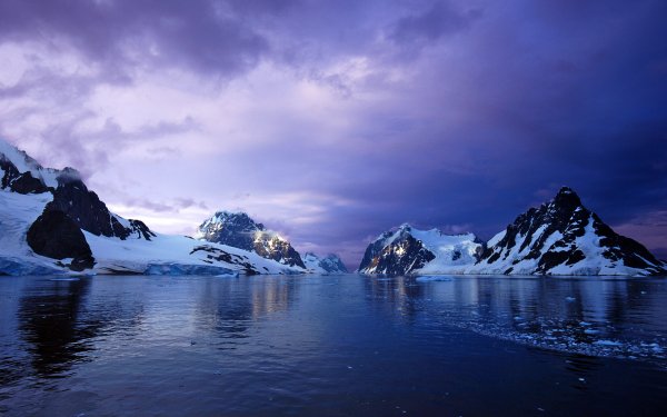 Purple World 7