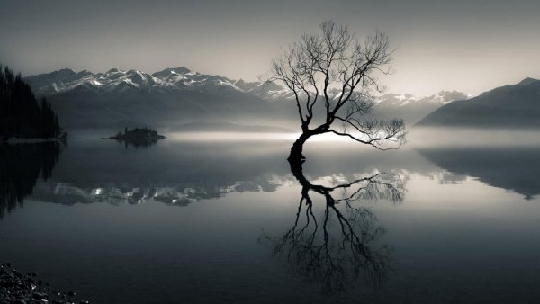 file_94402388