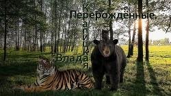 Перворожденные СИ