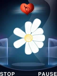 Flower Decides 240x320 rus