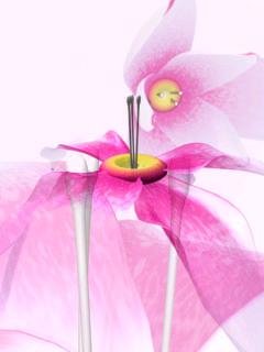 Exotic Flower49