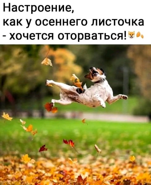 file_103442990