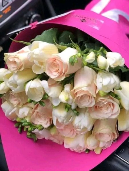 file_95827556