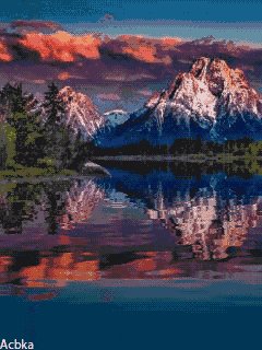 file_58241206
