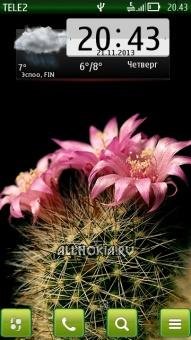 Cactus 3.5 HD belle by Kallol