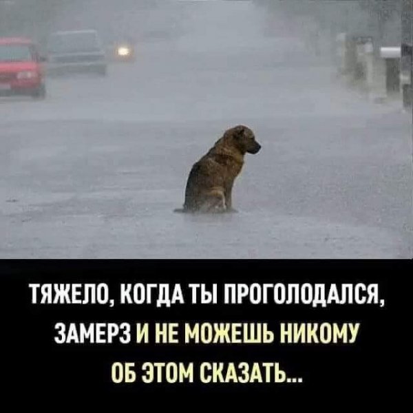 Никому не нужен...