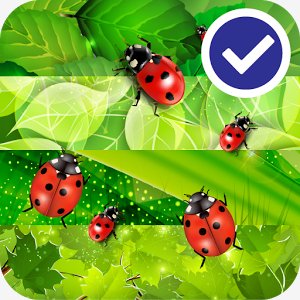 Colorful Ladybug Garden LWP - v1.0