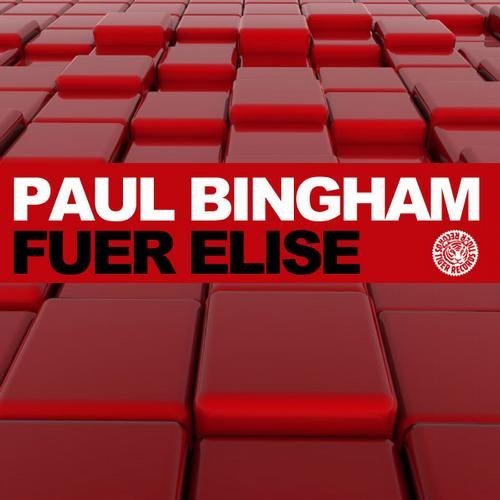Paul Bingham - Fuer Elise (DJ Falk Remix)