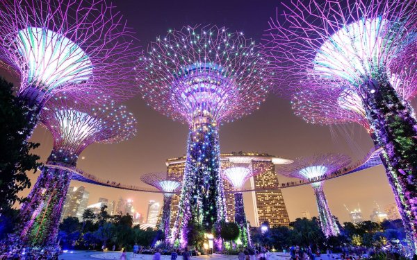 x1600-Gardens-by-the-Bay-Singapore-Parks-Night