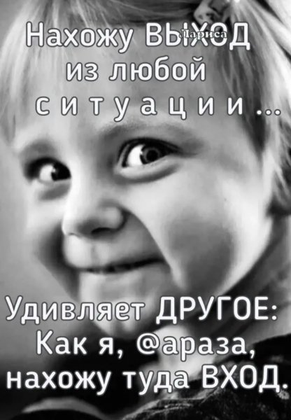 file_101504378