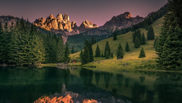 file_93618296