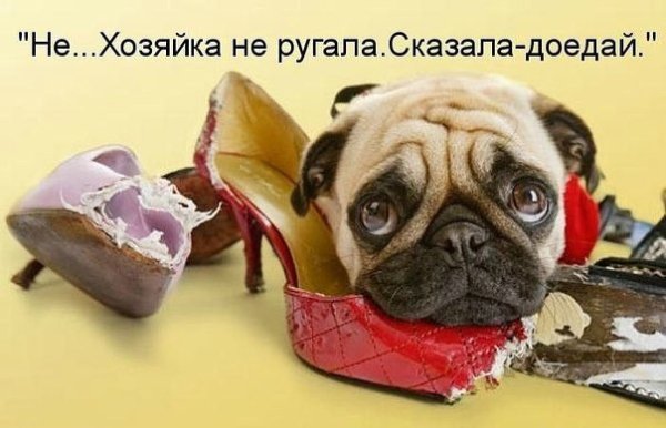 file_61726784