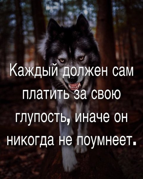 Глупость