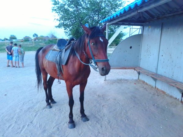 IMG 20210626 201202