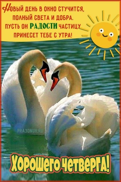file_92459335
