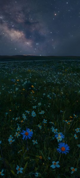 file_101084199