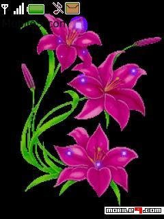 Animeflower