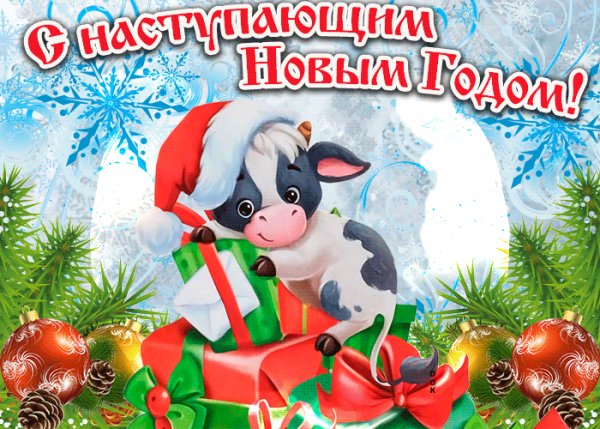 s-nastupayushchim-novym-godom-schastya-v-dom-51266