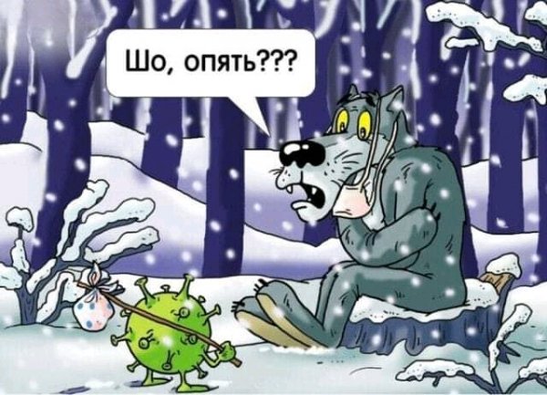 FB IMG 16052549561814621