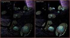 Flora Glow 1.1 1C