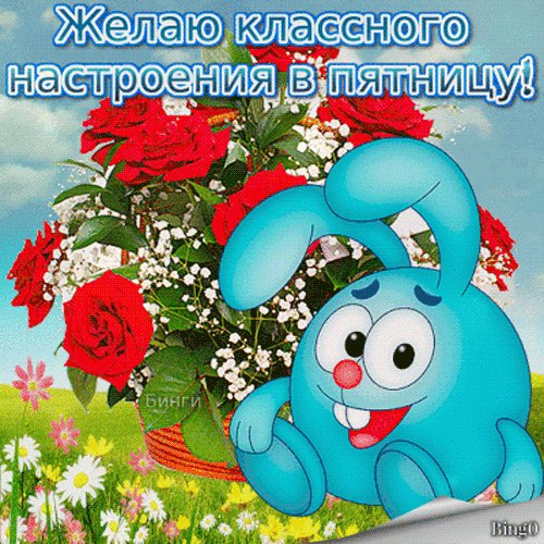 file_84838008