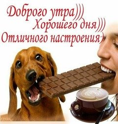 Доброго утра