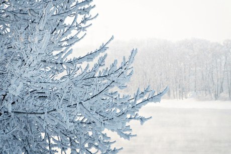 cac39c3a-bf0f-4810-b100-bec85