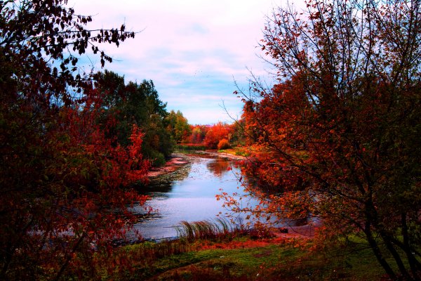 Seasons Autumn Rivers 506848