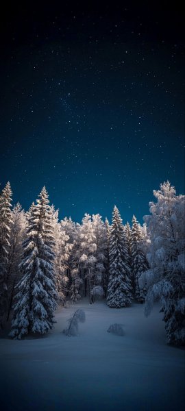 file_101945704