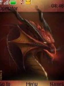 dragons