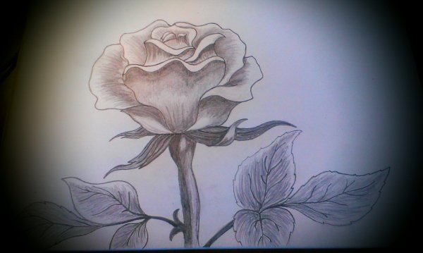IMAG0033